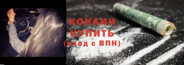 сатива Куйбышев