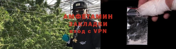 прущие крисы Кулебаки