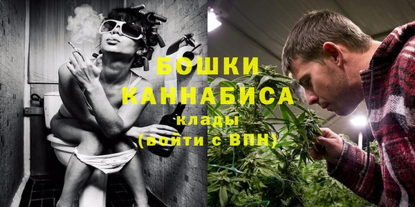 сатива Куйбышев