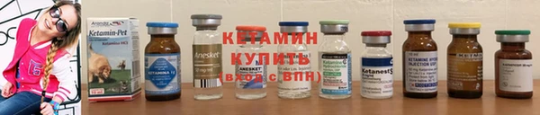 сатива Куйбышев