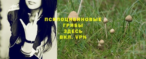сатива Куйбышев