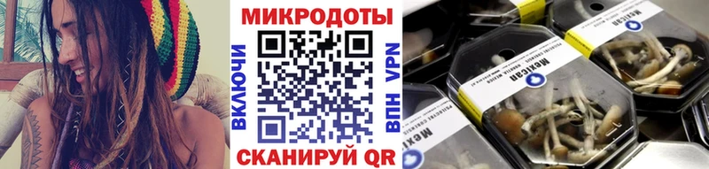 Галлюциногенные грибы Cubensis Купить где Зея